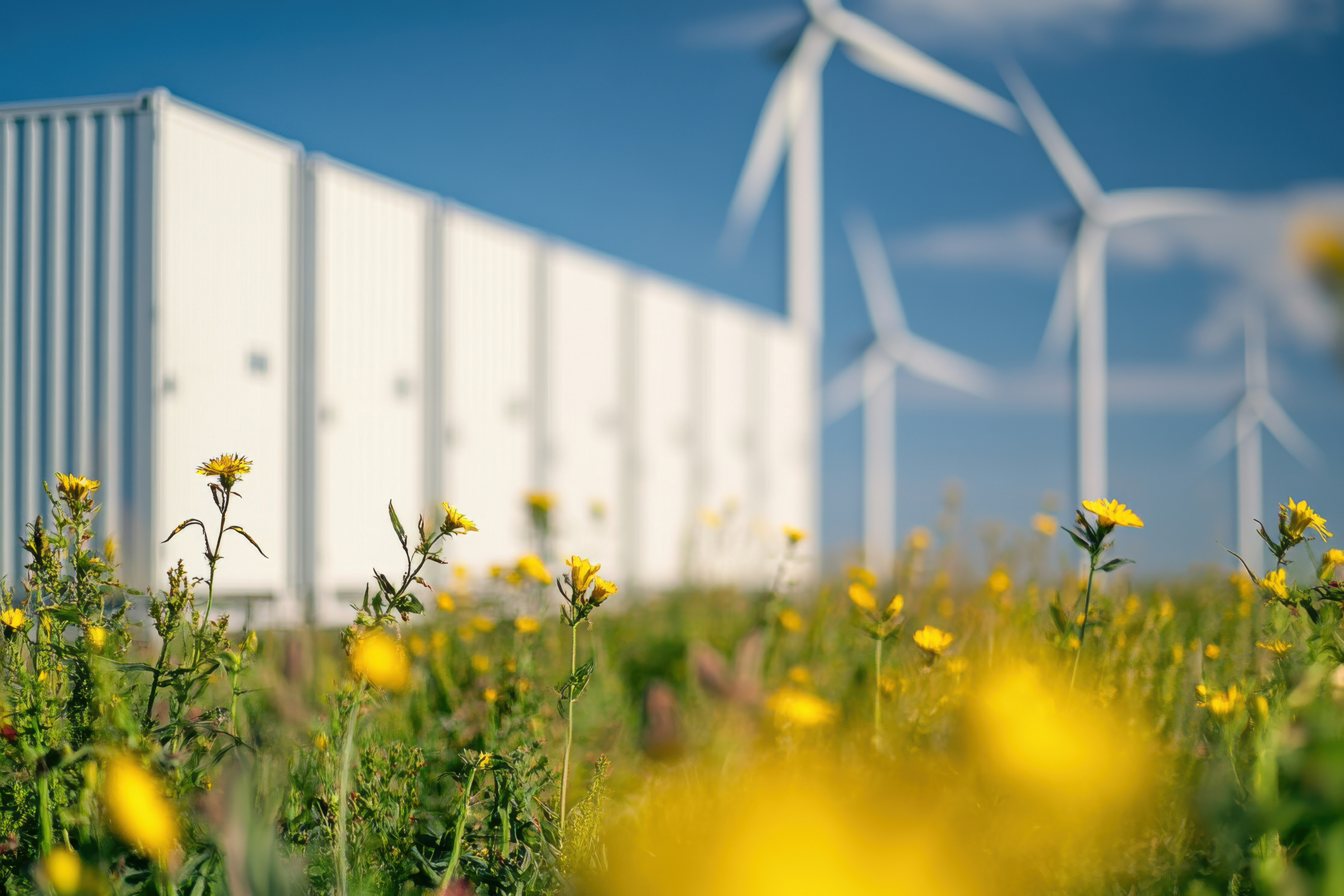 Renewable Energy Grid Connection
